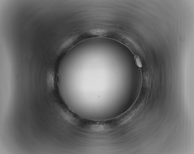 X0000116270404200911301217