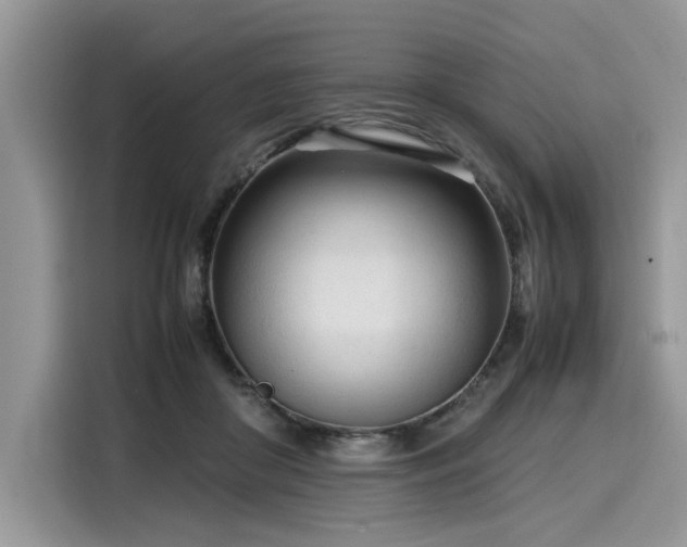 X0000116270410200911301217