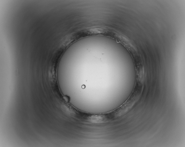 X0000116270418200911301217