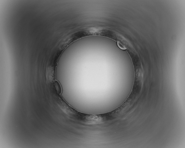 X0000116270421200911301217