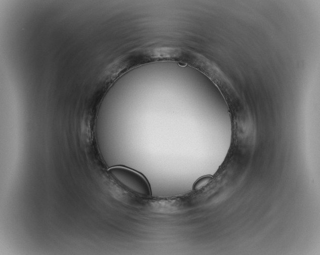 X0000116270422200911301217