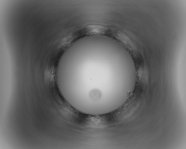 X0000116270423200911301217