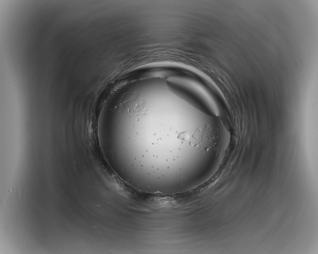X0000116270424200911301217