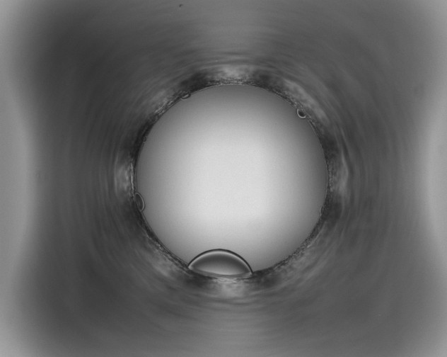 X0000116270425200911301217