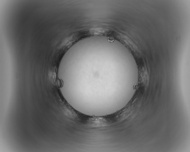 X0000116270427200911301217