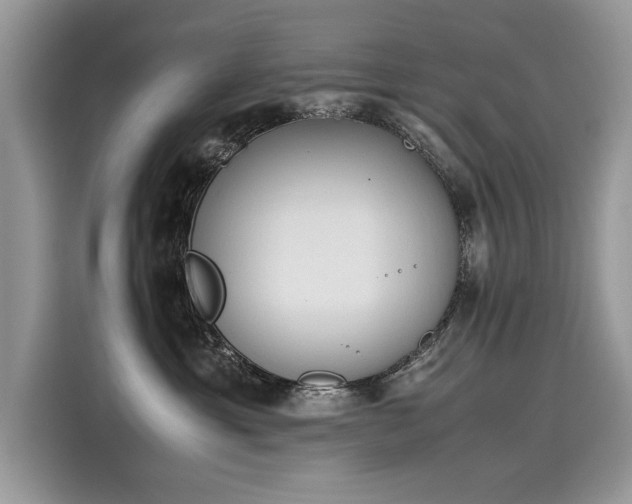 X0000116270429200911301217