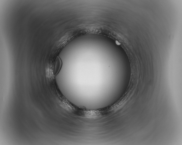 X0000116270432200911301217