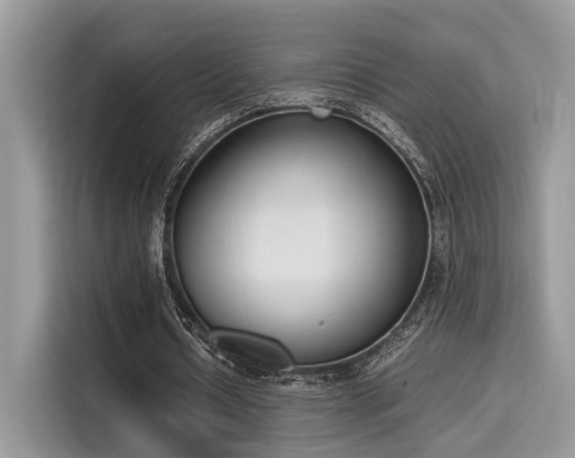 X0000116270434200911301216