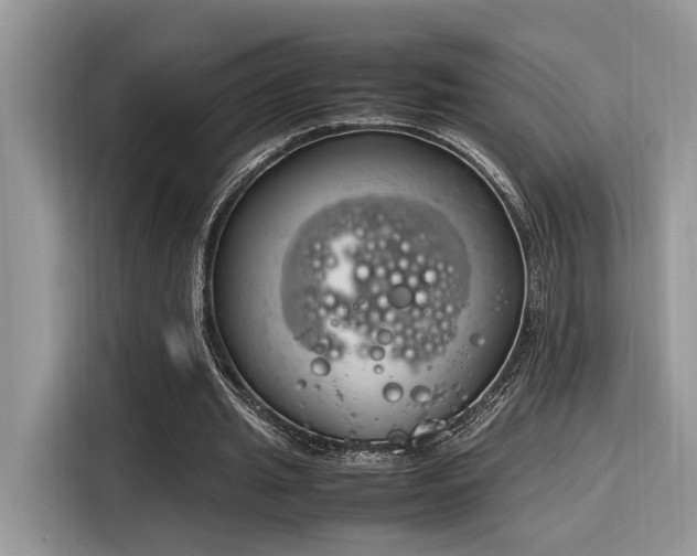 X0000116270437200911301216