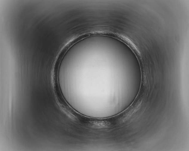 X0000116270439200911301216