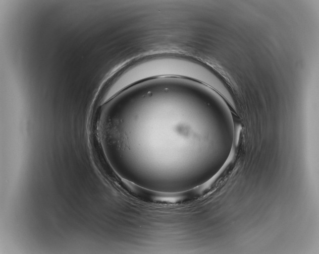 X0000116270440200911301216