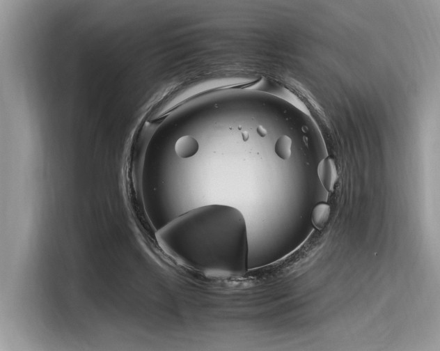 X0000116270443200911301216