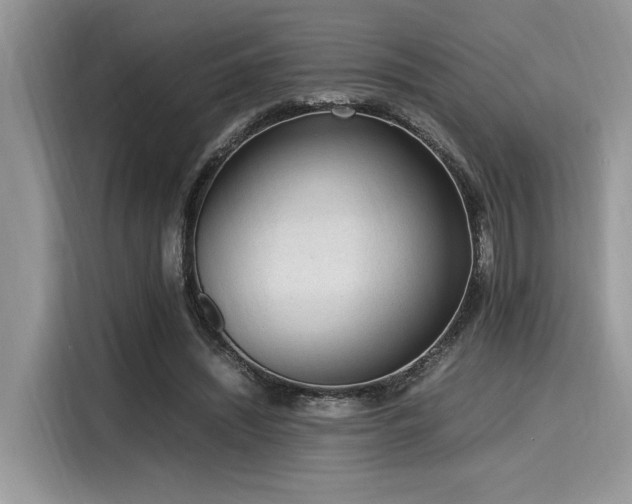 X0000116270444200911301216