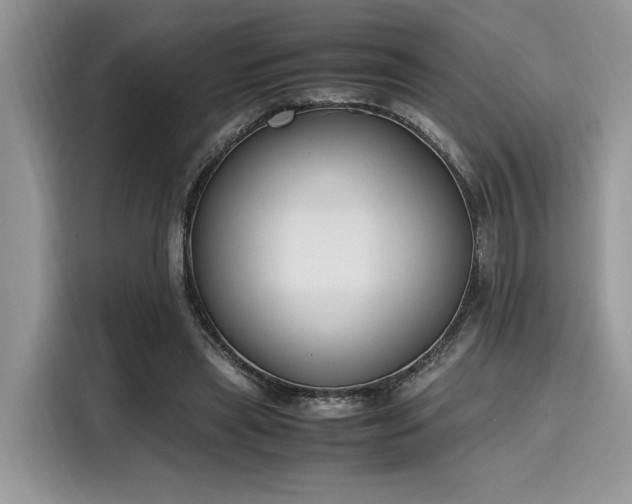X0000116270445200911301216