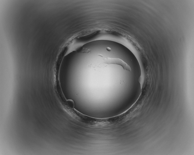 X0000116270446200911301216