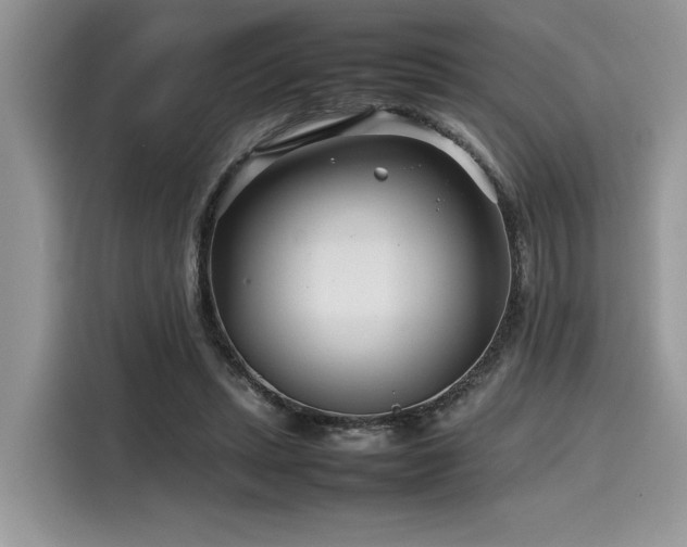 X0000116270447200911301216