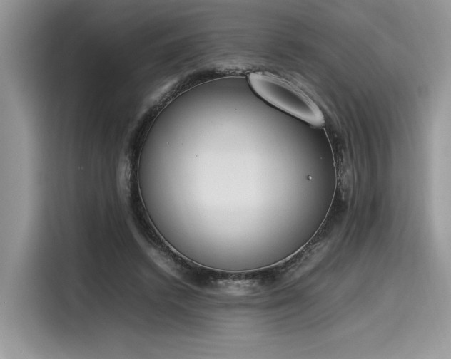 X0000116270448200911301216