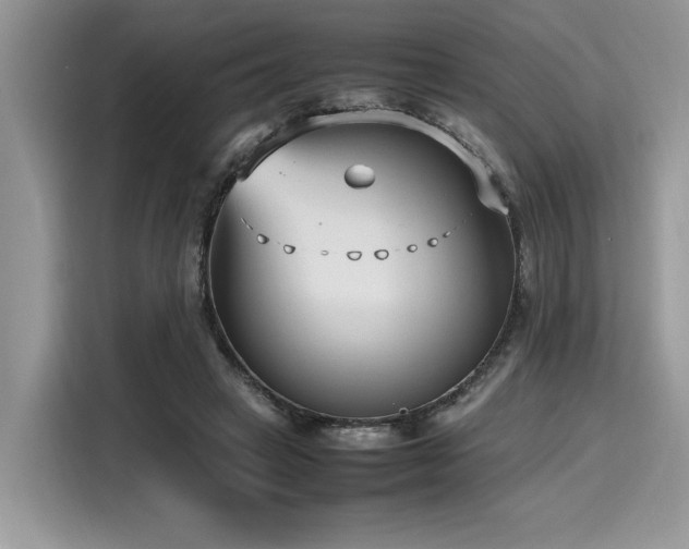 X0000116270449200911301216