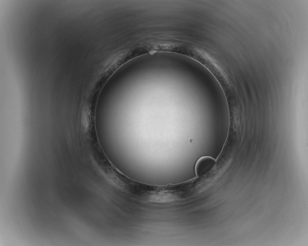X0000116270451200911301216
