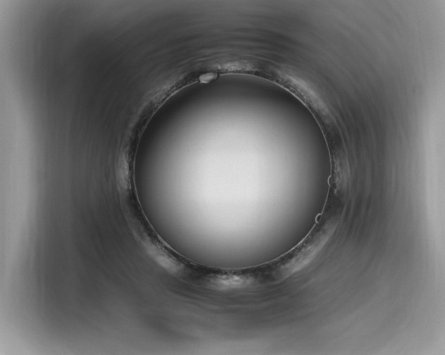 X0000116270453200911301216