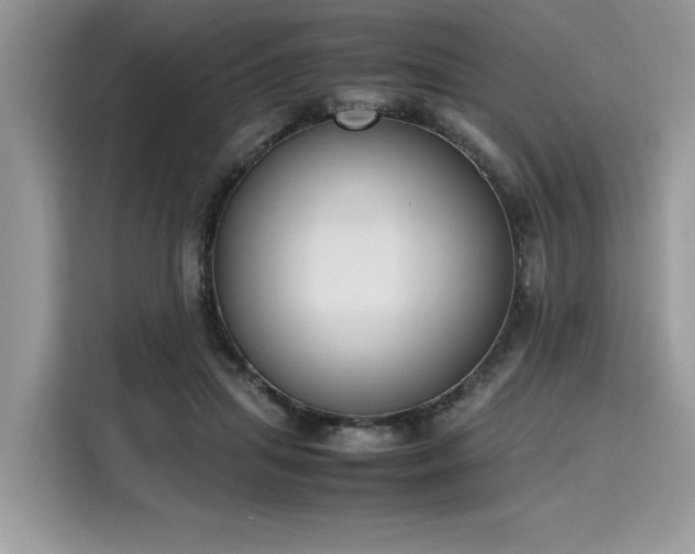 X0000116270455200911301217