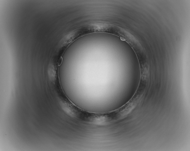 X0000116270456200911301217