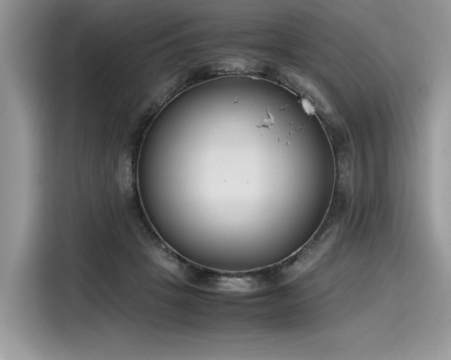 X0000116270457200911301217