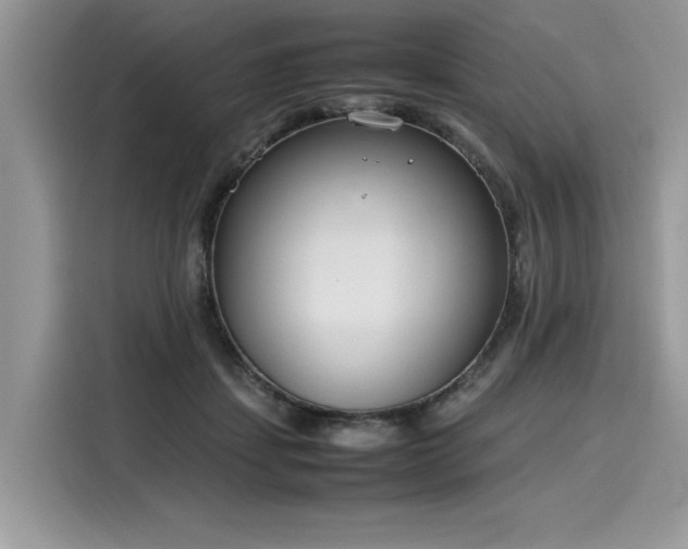 X0000116270459200911301217