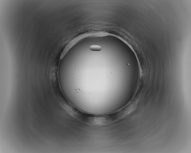 X0000116270462200911301217
