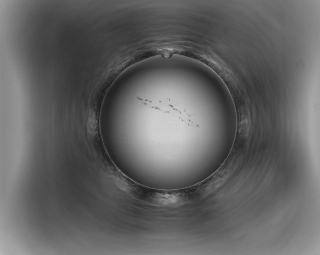 X0000116270469200911301217