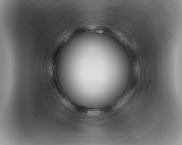 X0000116270470200911301217