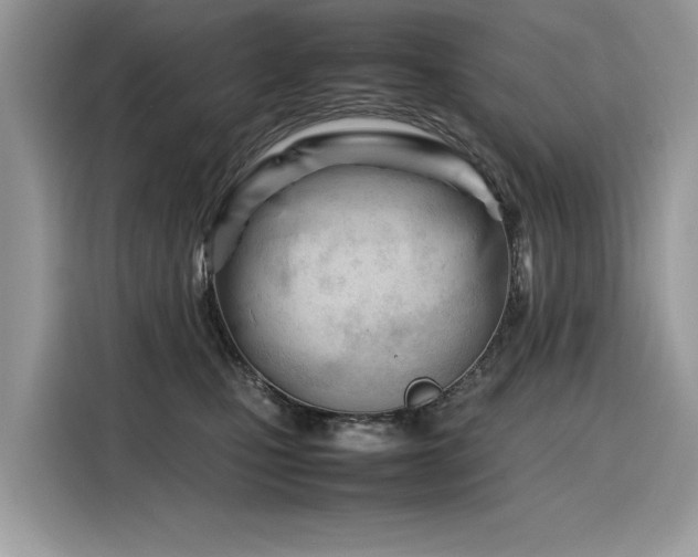 X0000116270471200911301217