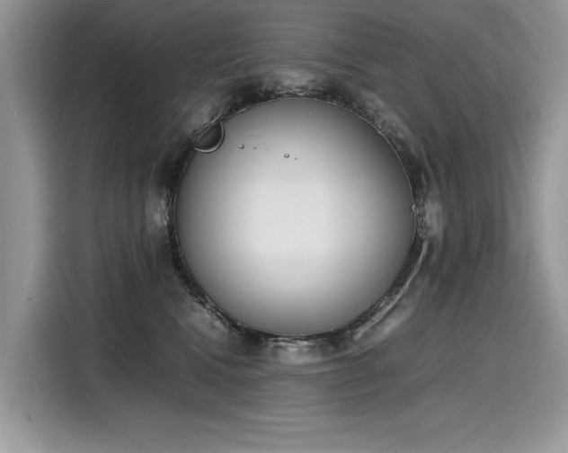 X0000116270472200911301217