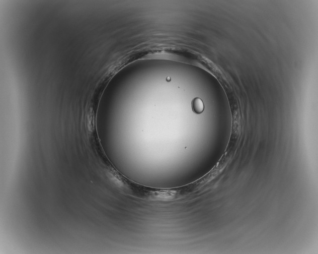 X0000116270474200911301217