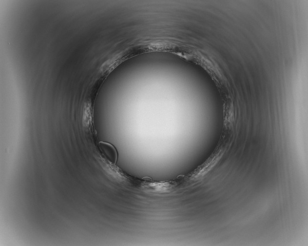 X0000116270478200911301217