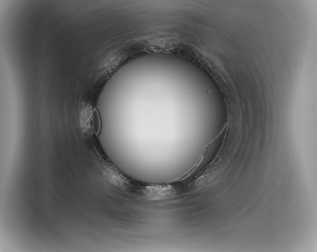 X0000116270480200911301217