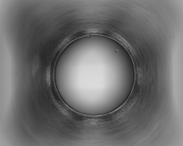 X0000116270482200911301216