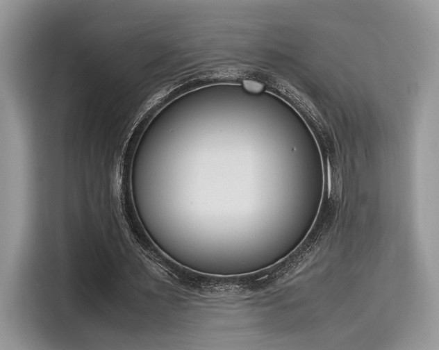 X0000116270483200911301216