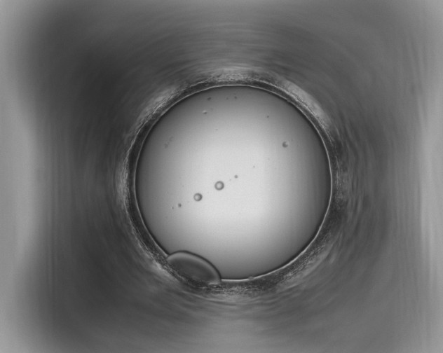 X0000116270485200911301216