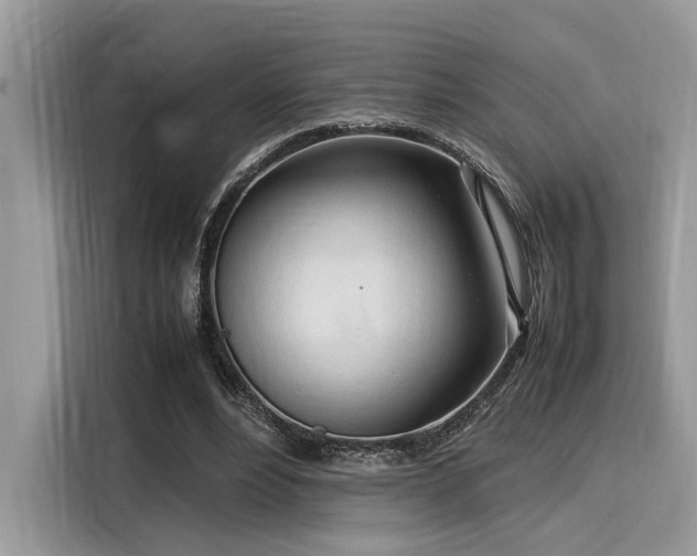 X0000116270488200911301216