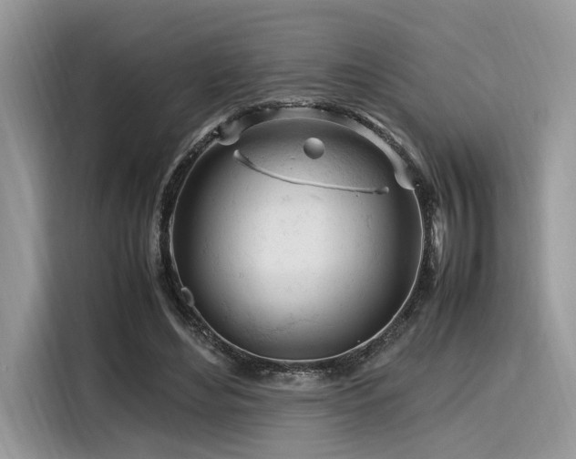 X0000116270492200911301216