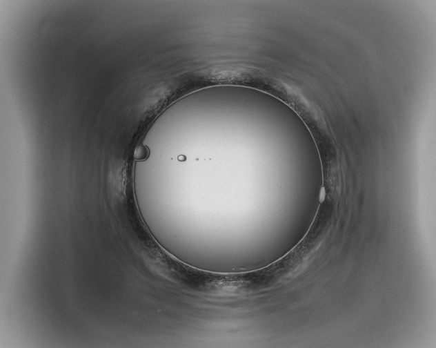 X0000116270495200911301216