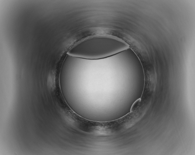 X0000116270496200911301216