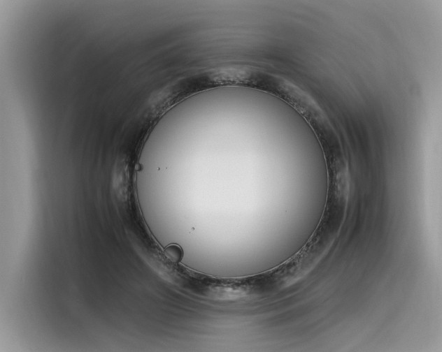 X0000116270498200911301216