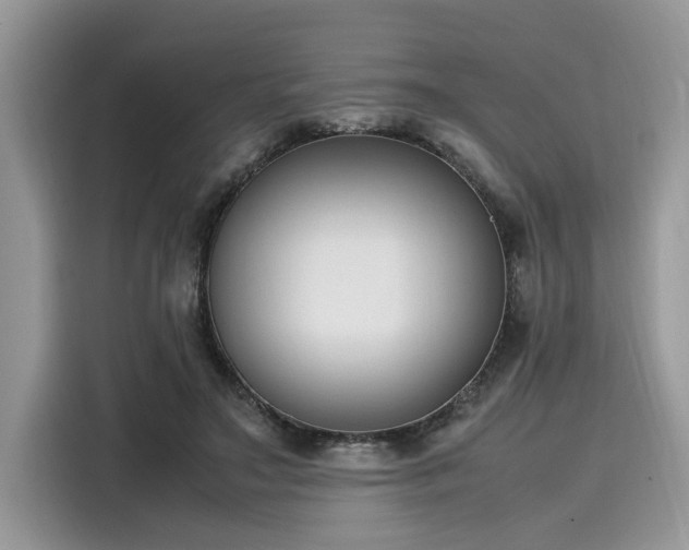 X0000116270499200911301216