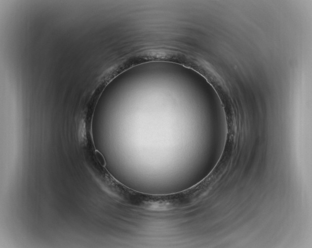 X0000116270500200911301216