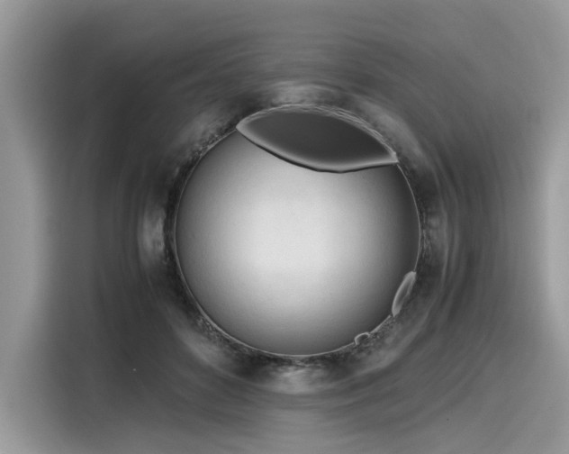 X0000116270504200911301216