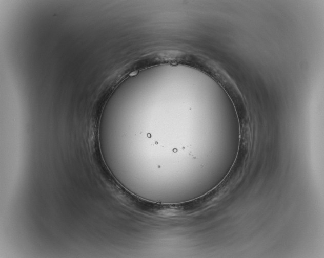 X0000116270505200911301216