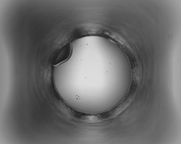 X0000116270509200911301216