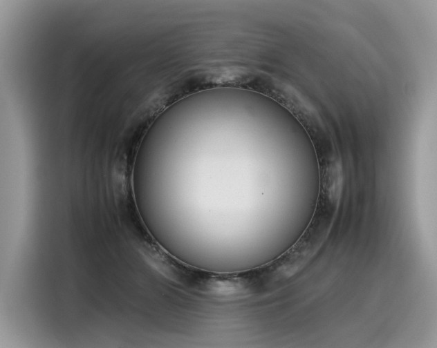 X0000116270510200911301216